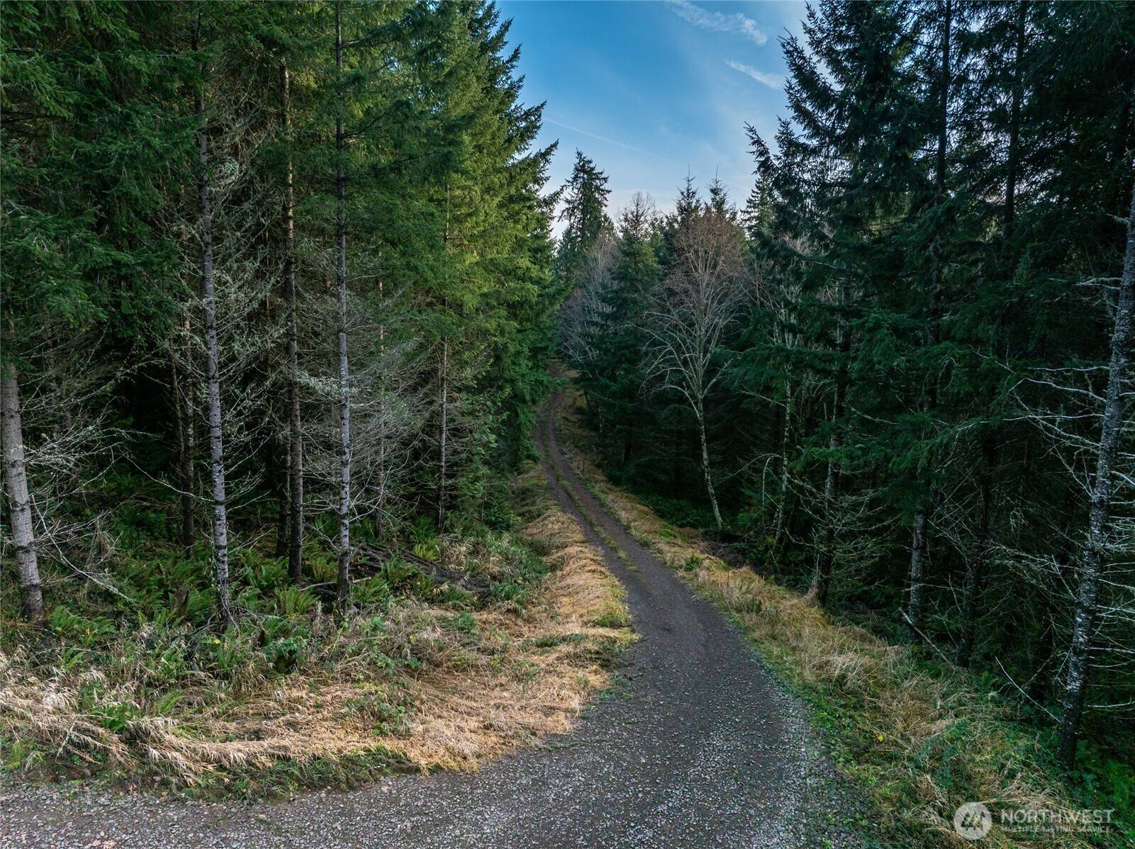 50 x Winston Creek RD, Mossyrock, WA 98564
