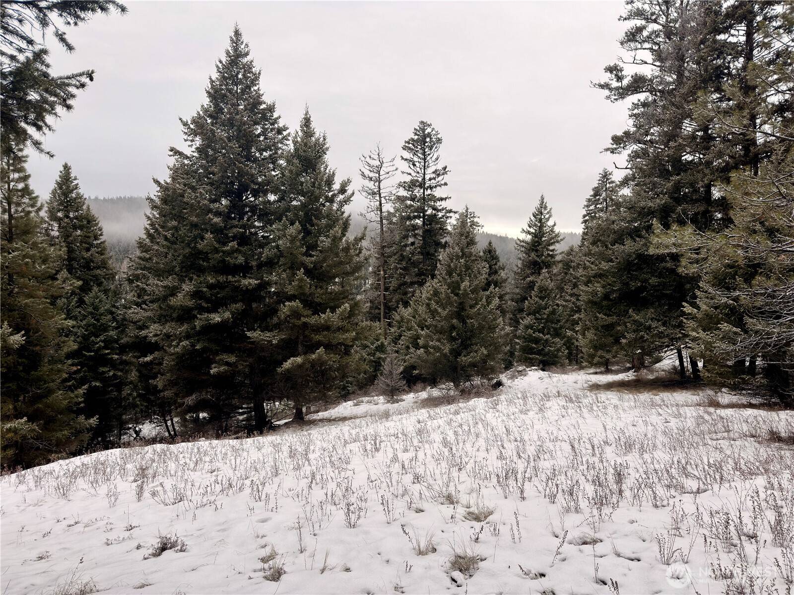 25 Miner's Ridge RD, Oroville, WA 98844
