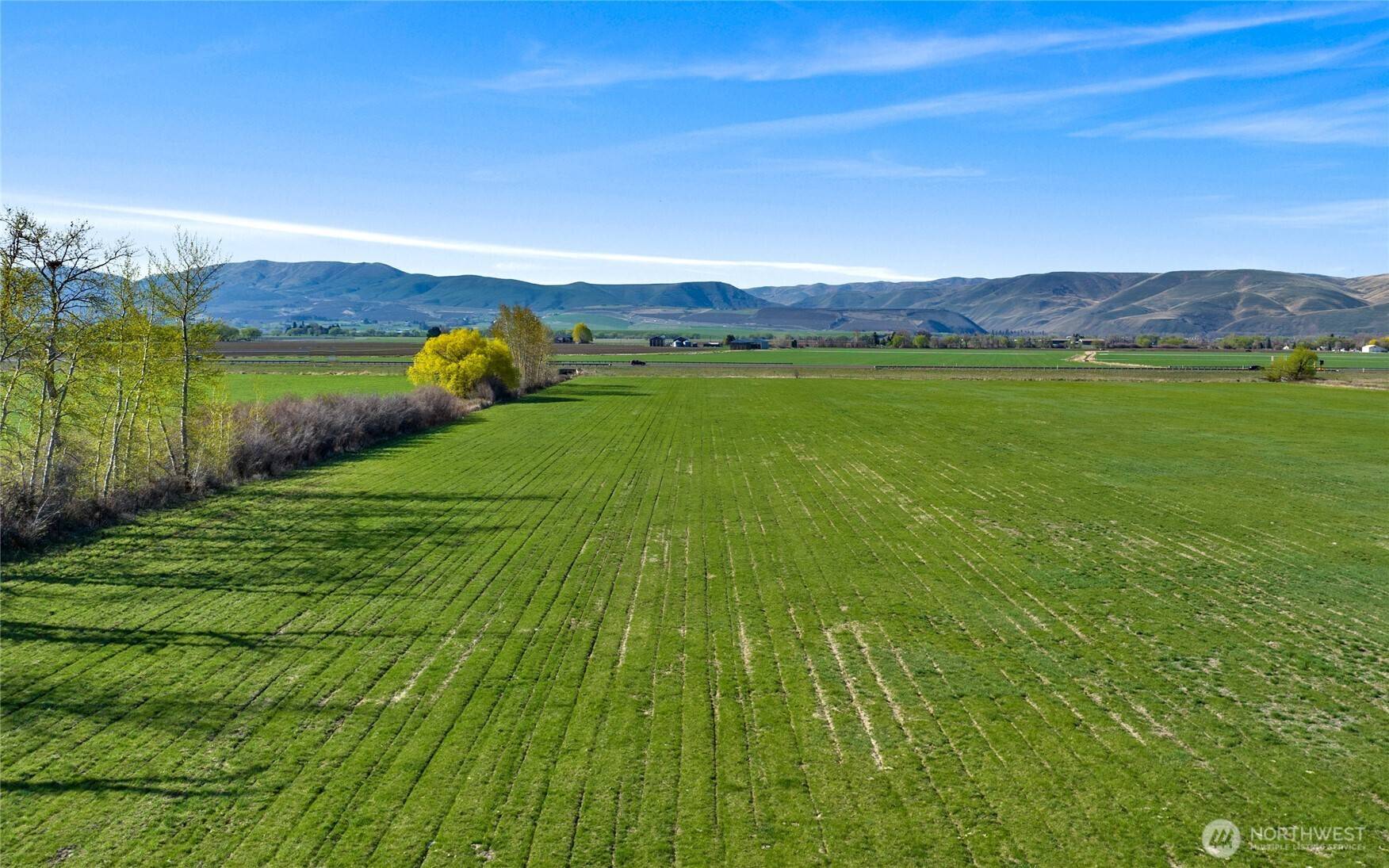 5 XX Rein RD, Ellensburg, WA 98926