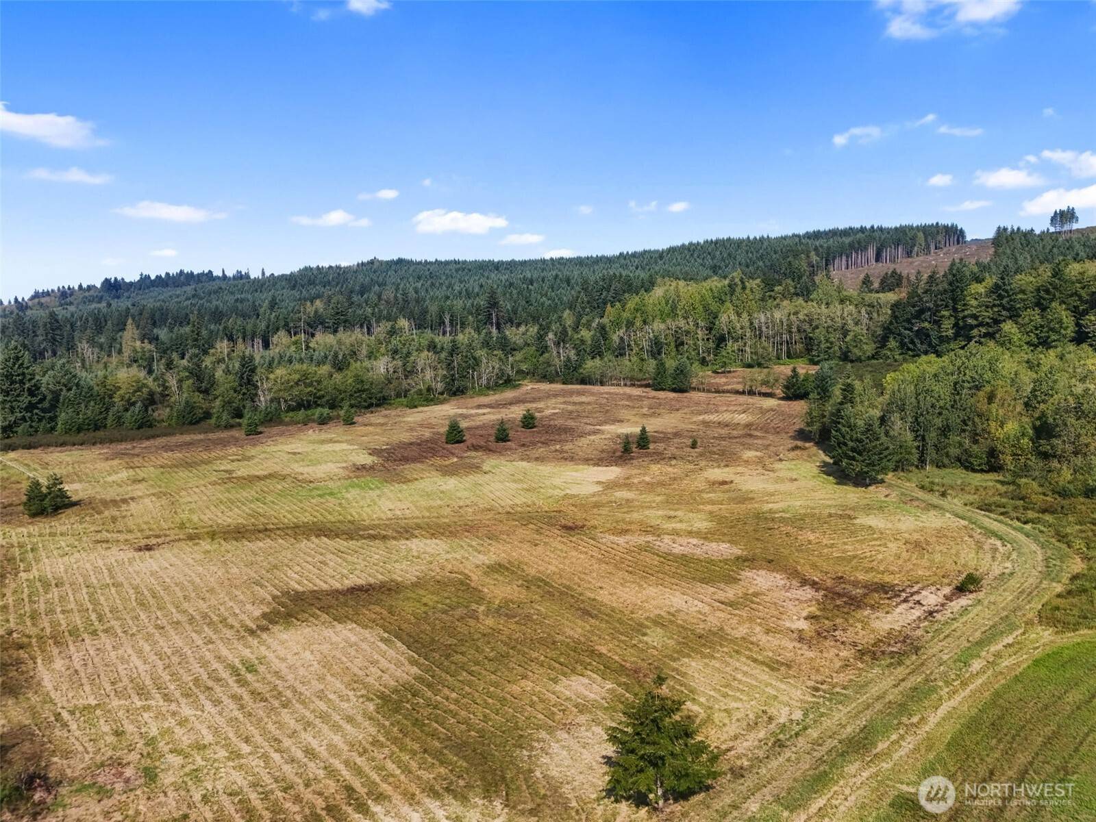 104 Bills LN, Onalaska, WA 98570