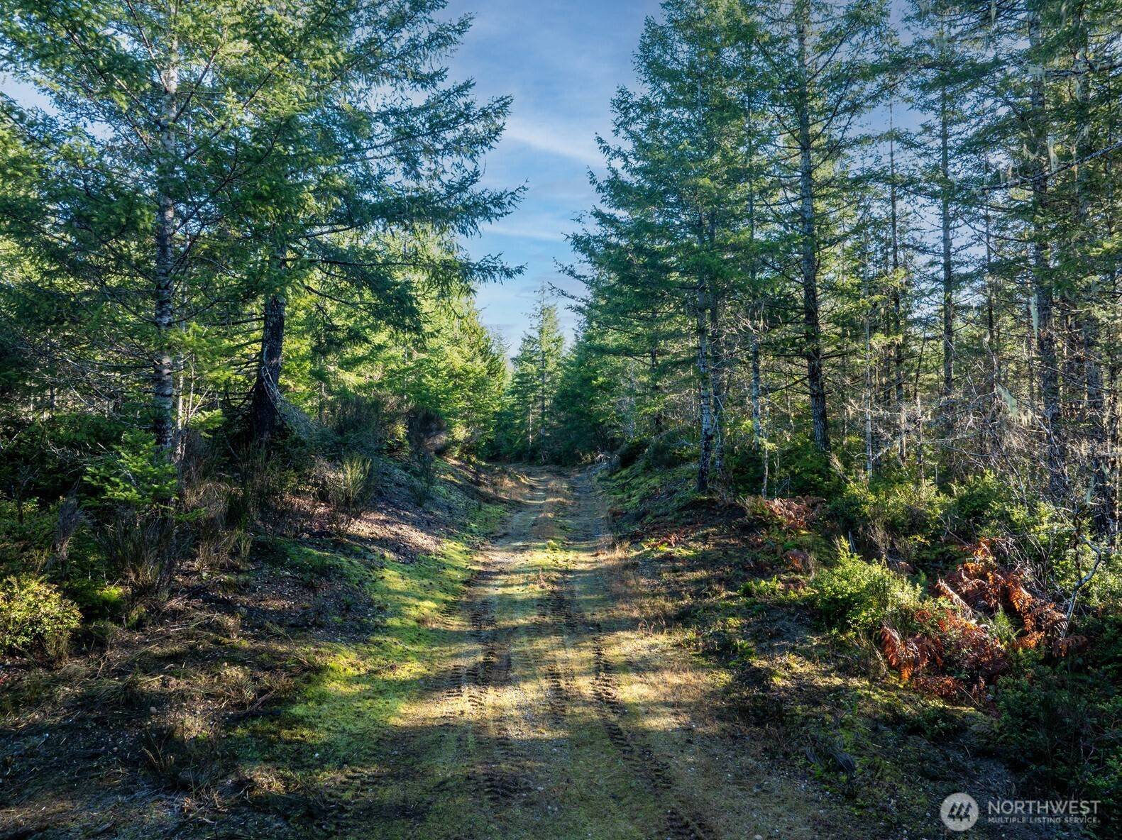10 XX E Shetland Road, Shelton, WA 98584