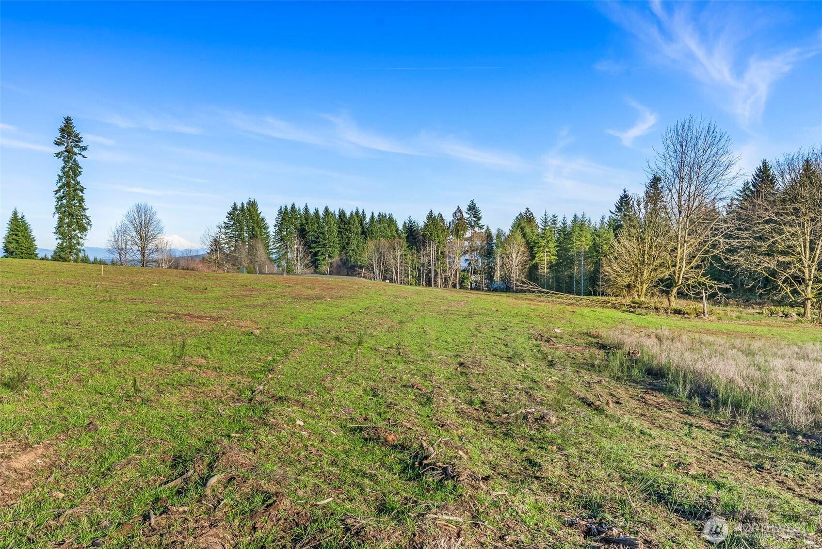 242 Suncrest DR, Castle Rock, WA 98611
