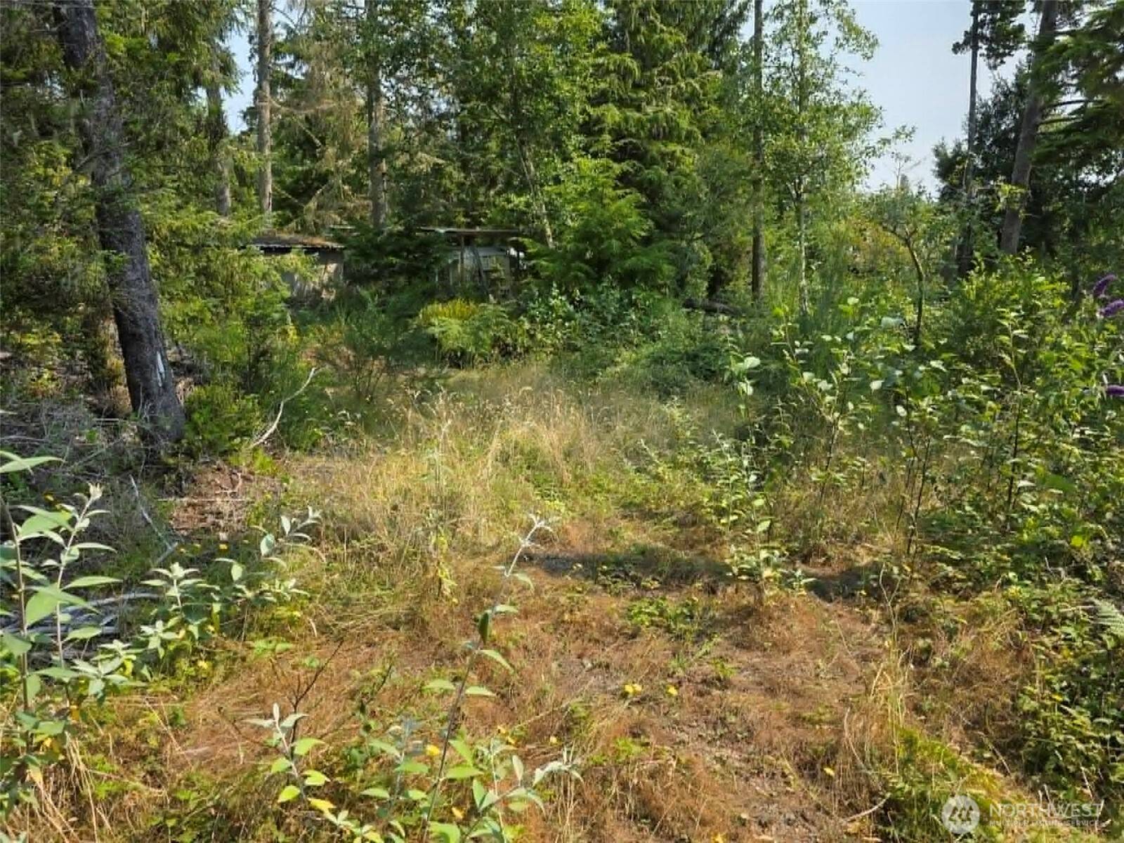 27602 U ST, Ocean Park, WA 98640