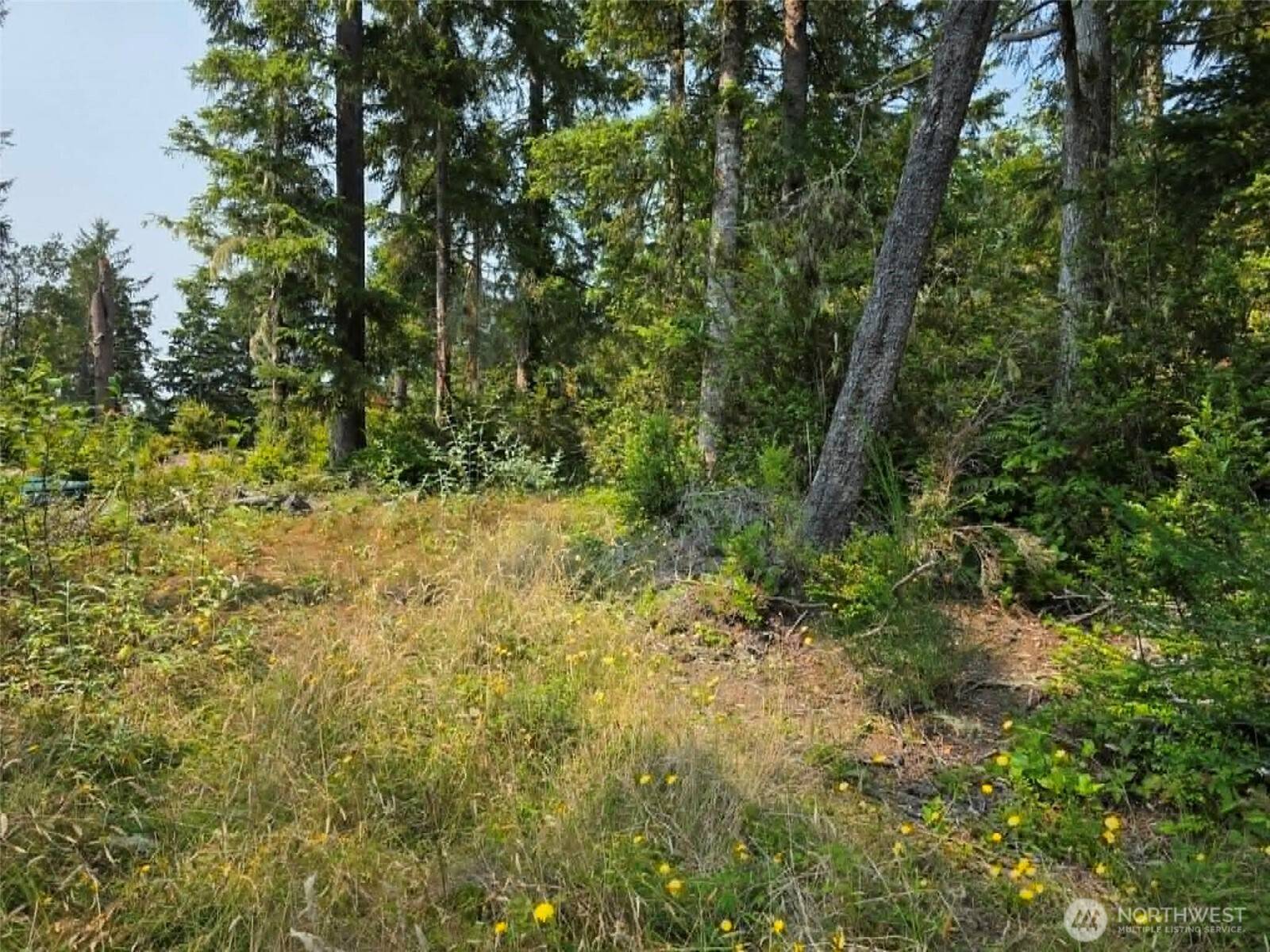 27602 U ST, Ocean Park, WA 98640