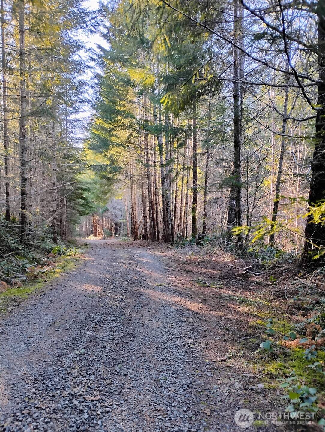 0 Skate Creek RD S, Packwood, WA 98361