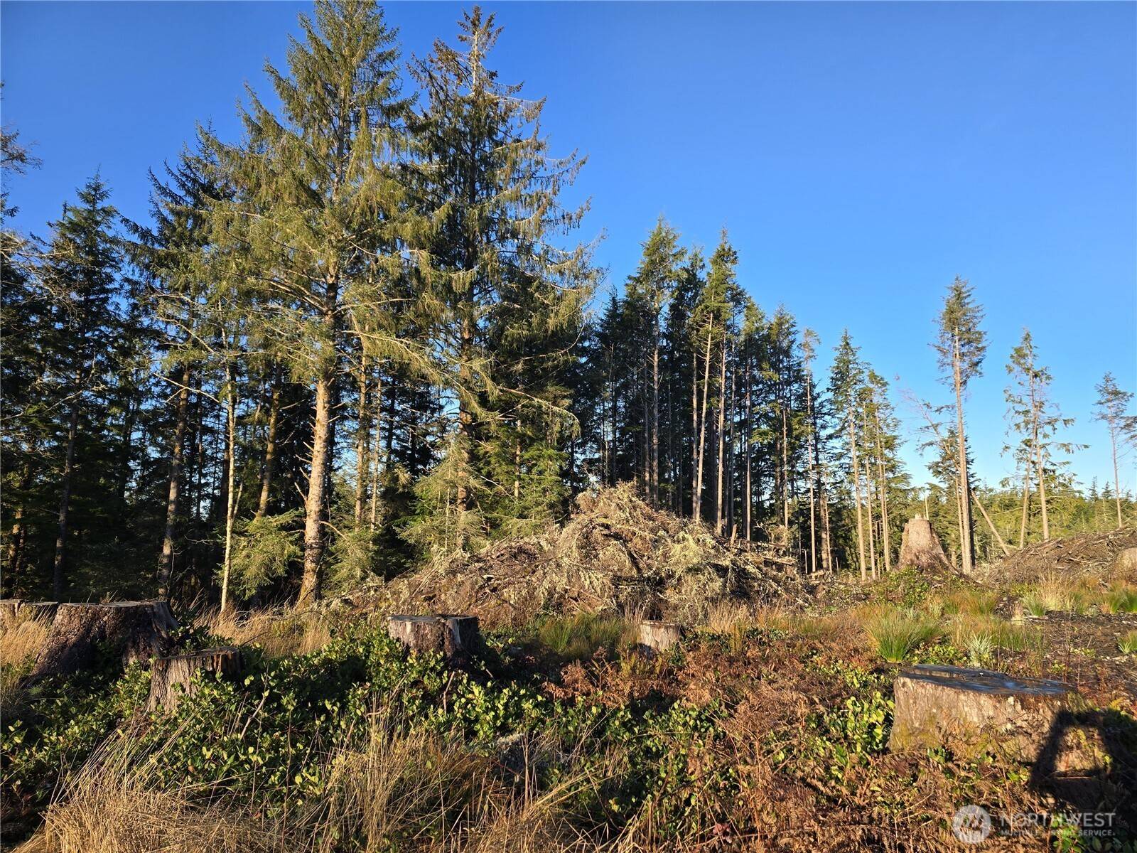 2753 State Route 101, Ilwaco, WA 98624