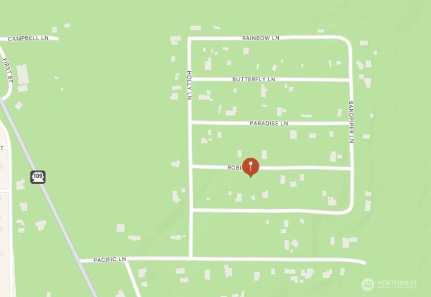40 Robin LN, Pacific Beach, WA 98571