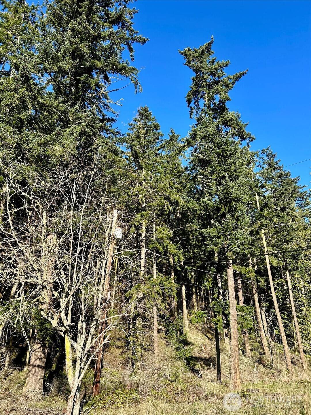 55 Vancouver PL, Port Townsend, WA 98368