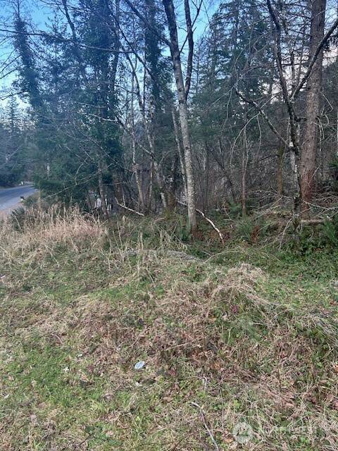 0 SE 166th ST, North Bend, WA 98045