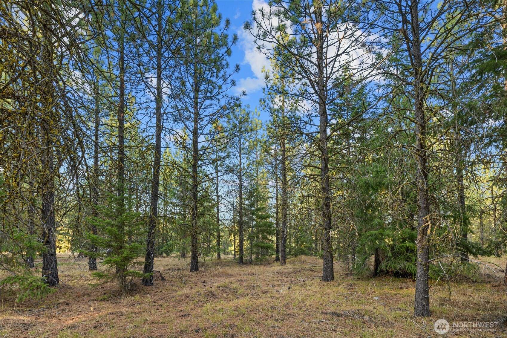 131 Gold Leaf LN, Cle Elum, WA 98922