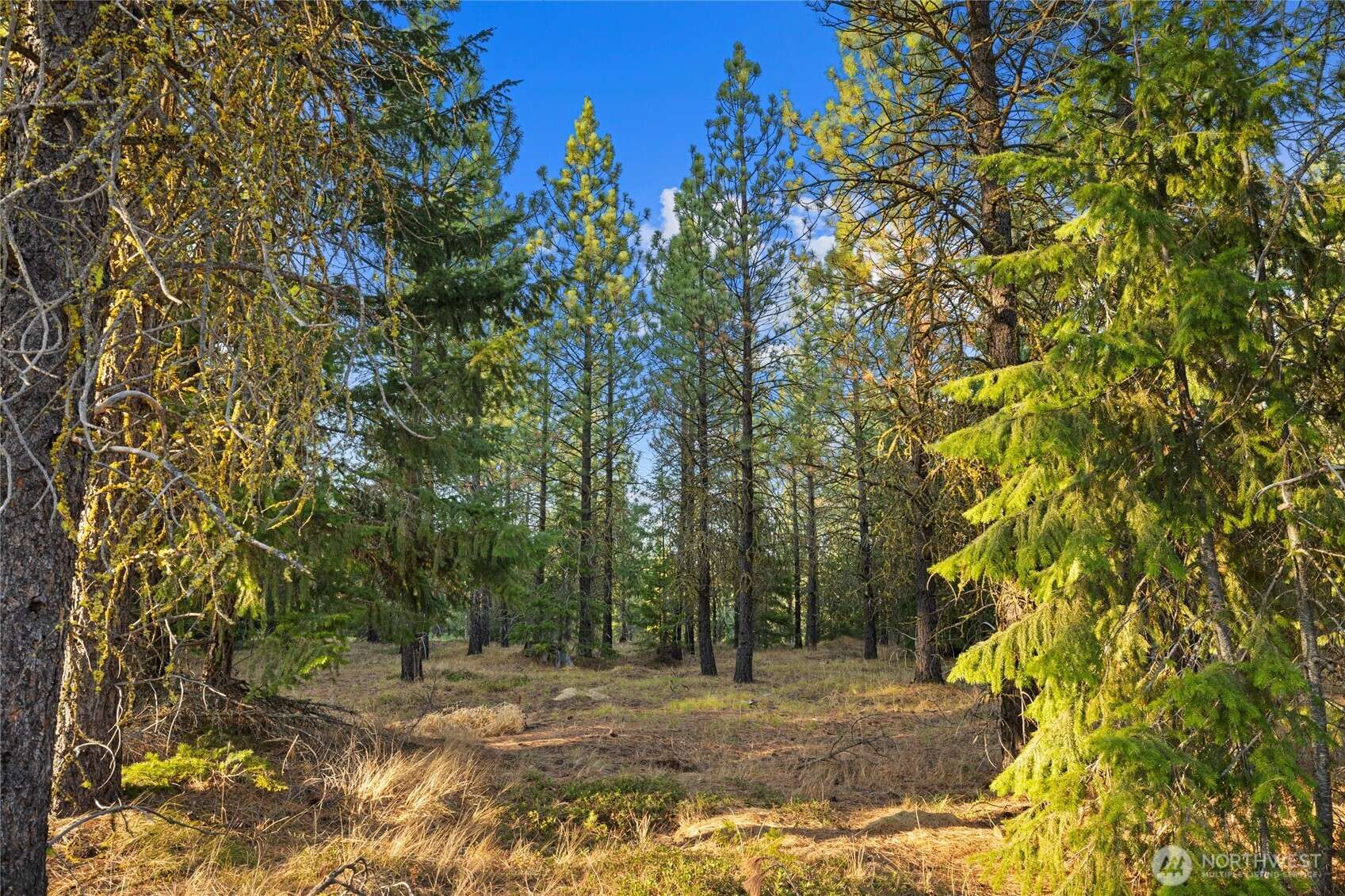 131 Gold Leaf LN, Cle Elum, WA 98922