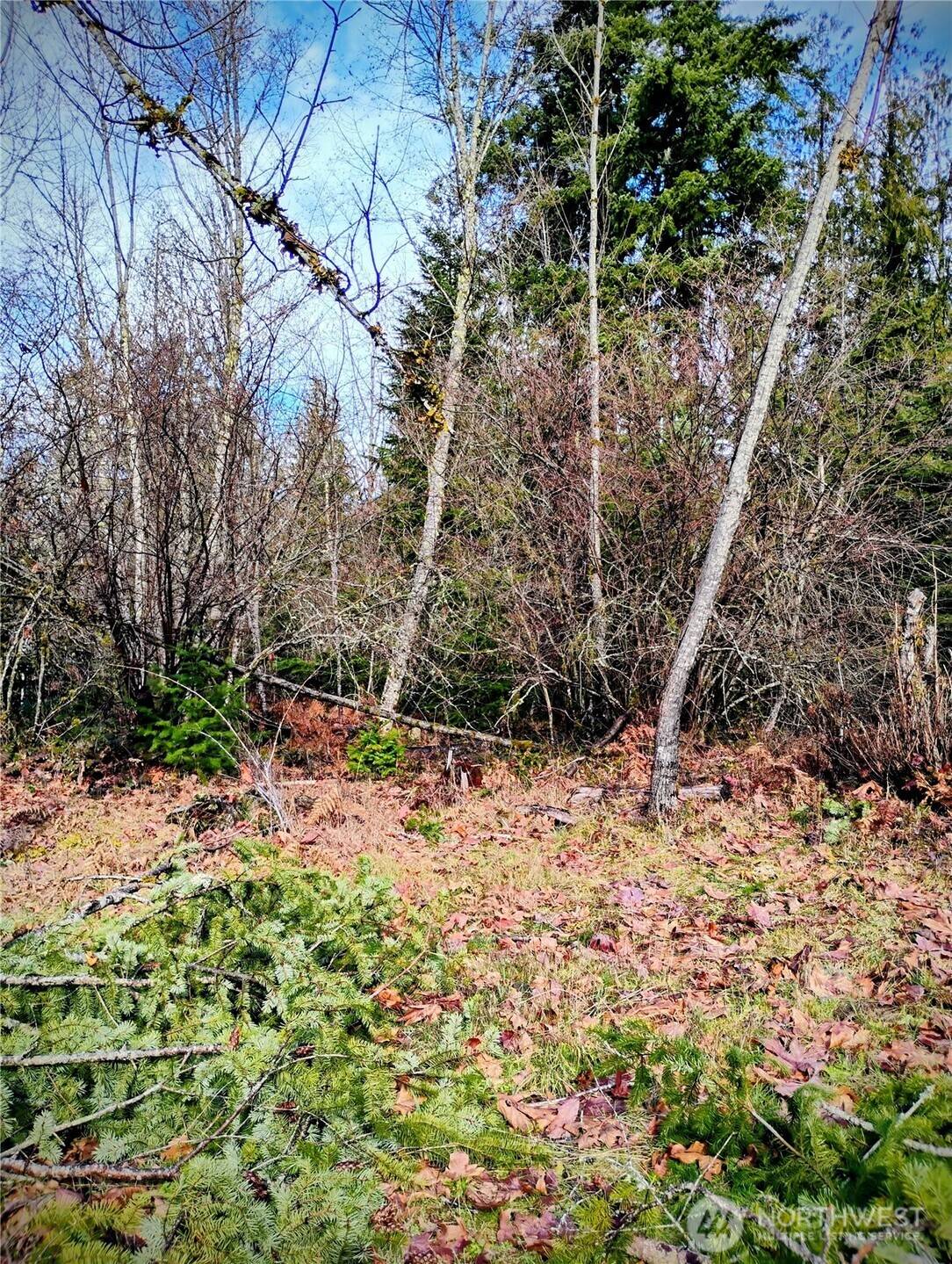 0 Holiday LN #Lot 19, Packwood, WA 98361