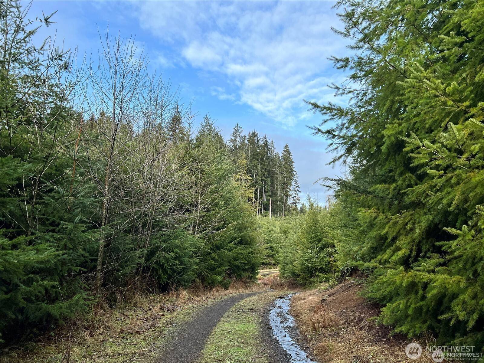 0 Hwy 101, Cosmopolis, WA 98537