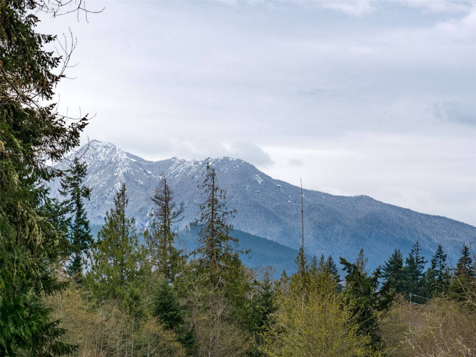 9999 Cedar Glen LN, Port Angeles, WA 98362