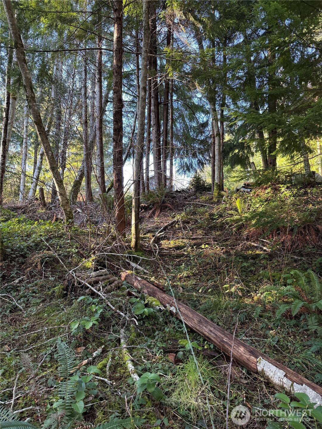 0 NE Lake Christine RD, Tahuya, WA 98588