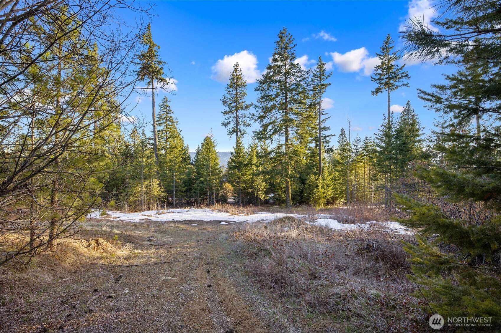 47 Forest Ridge Dr (Lot #47), Cle Elum, WA 98922