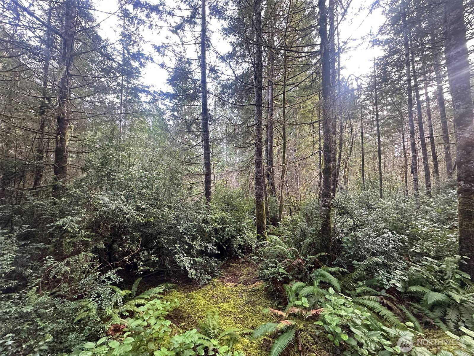 0 Willchar BLVD, Shelton, WA 98584