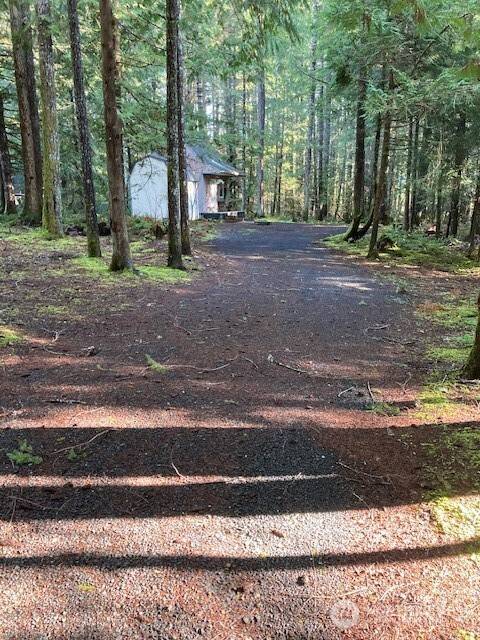 320 N Mt Jupiter DR, Hoodsport, WA 98548