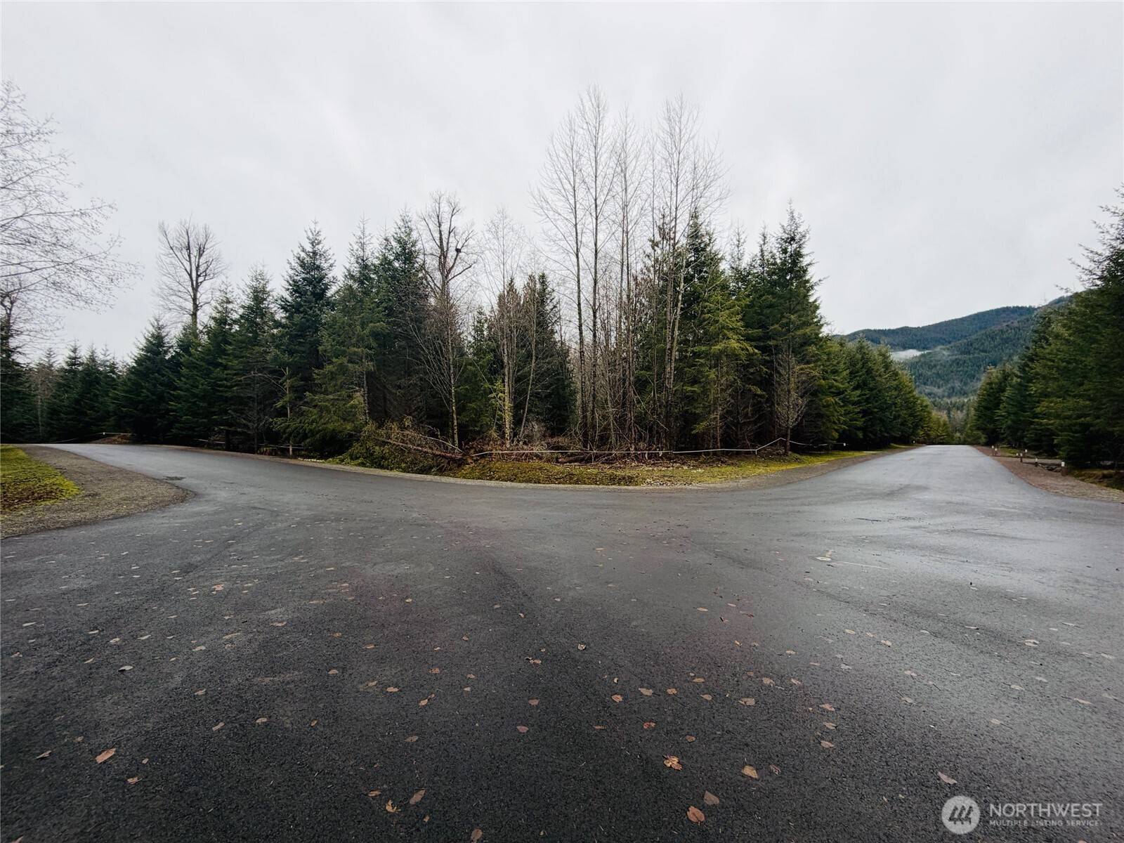 11857 Elk Trails DR E, Greenwater, WA 98022
