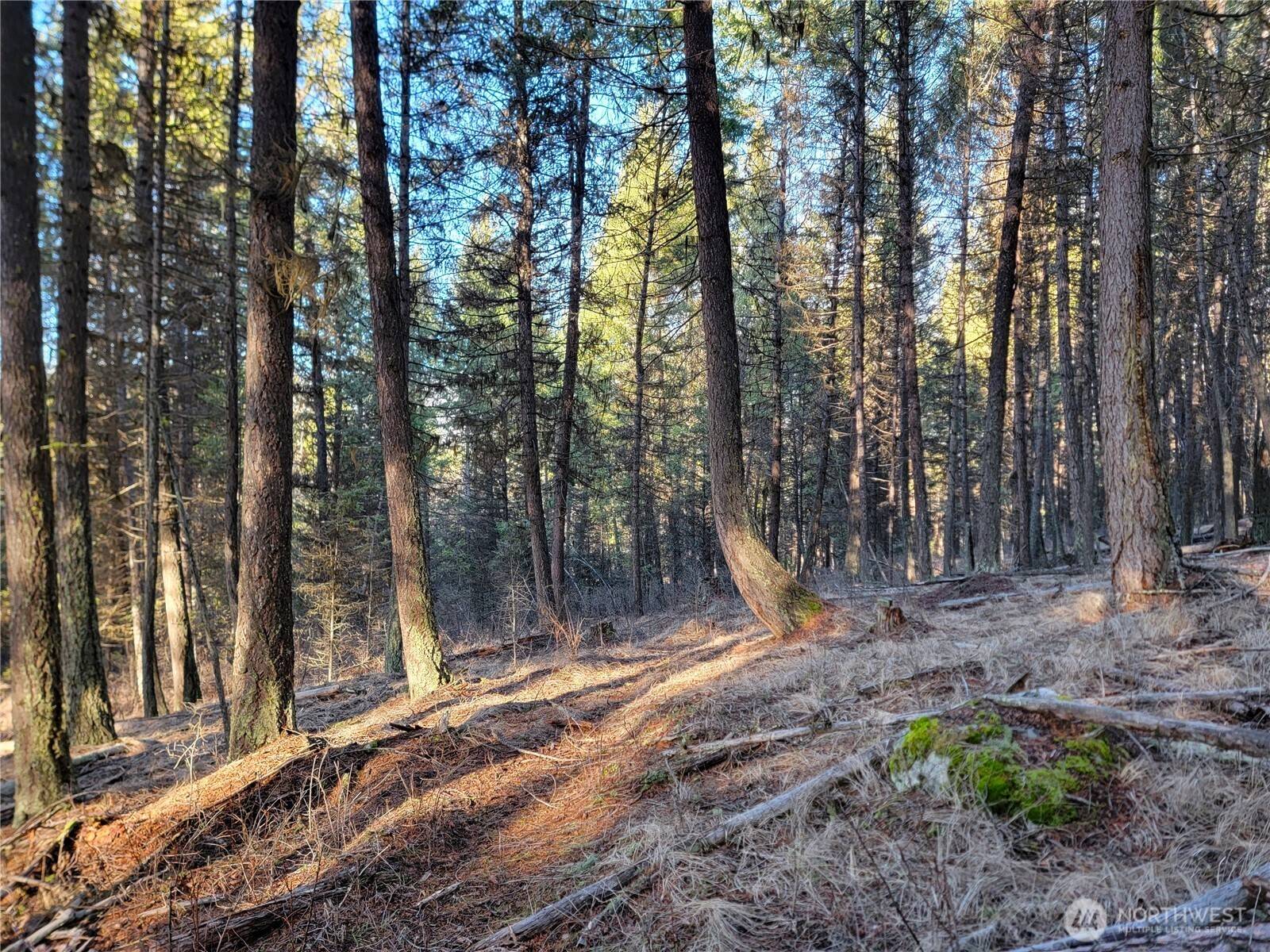 9999 TBD Lundimo Meadows RD, Curlew, WA 99118