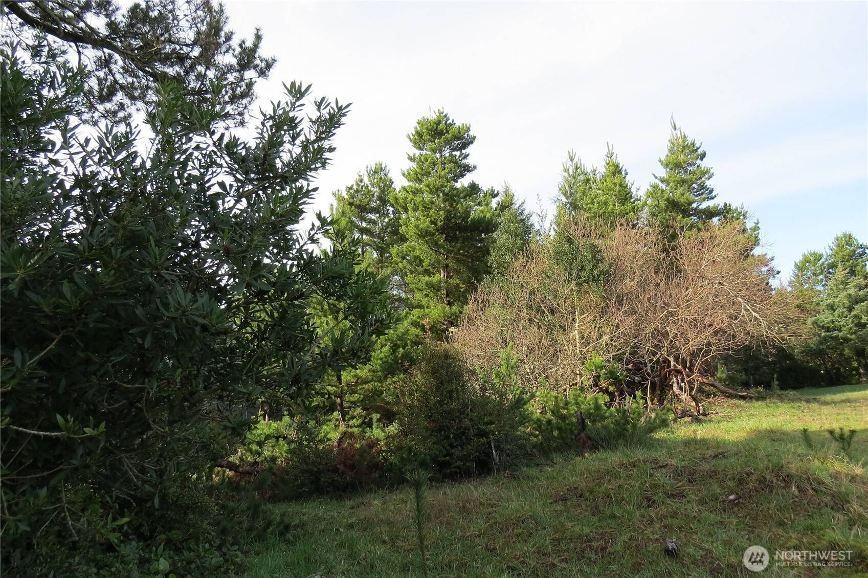 326 Wildwood AVE SE, Ocean Shores, WA 98569