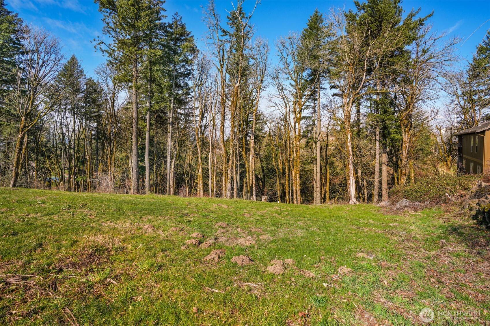 3011 NW 13th Cir, Camas, WA 98607