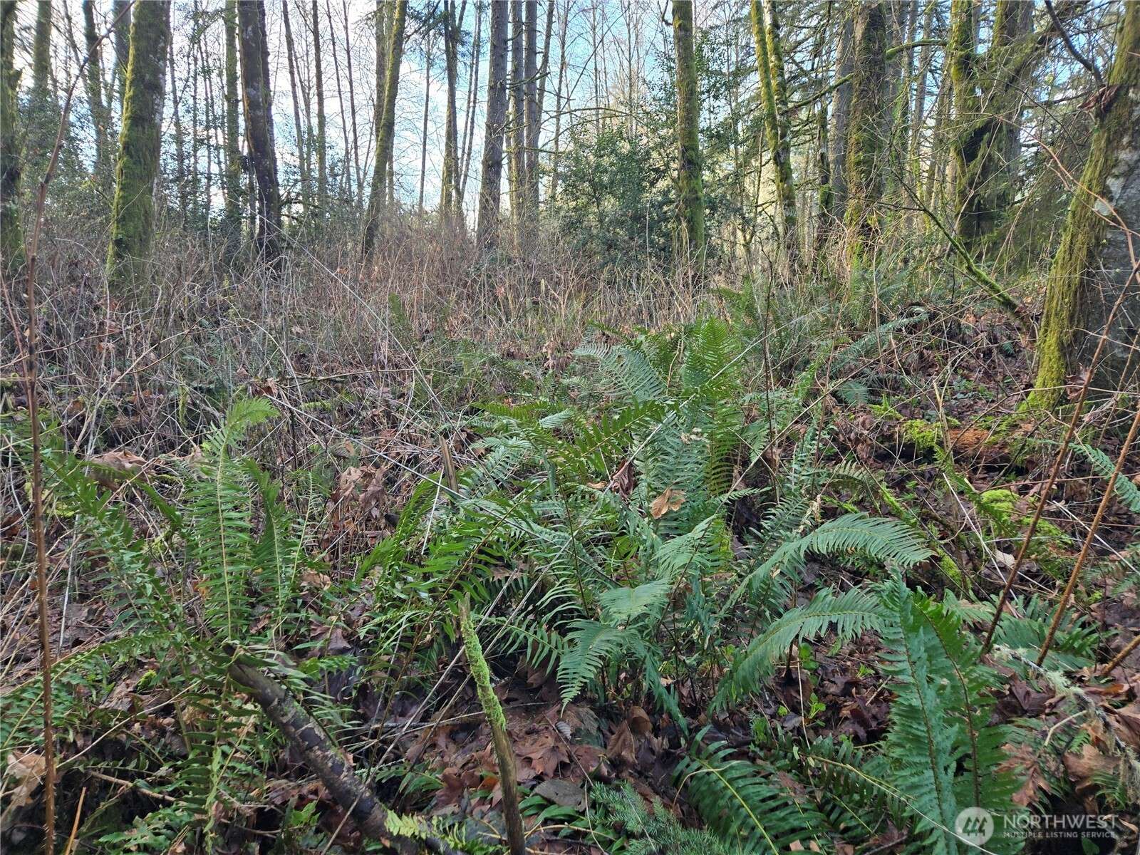 233 XX State Highway 3 NW, Poulsbo, WA 98370