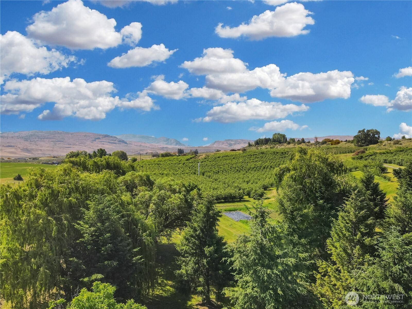 223 Old Riverside HWY, Omak, WA 98841