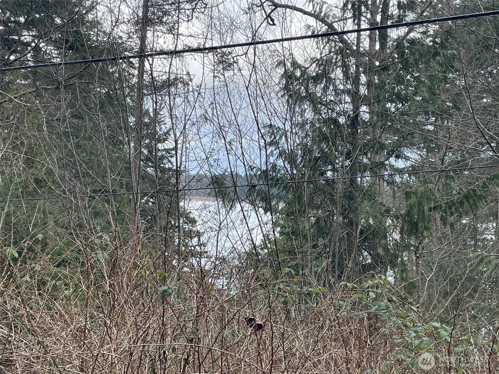 1268 Island DR, Lummi Island, WA 98262