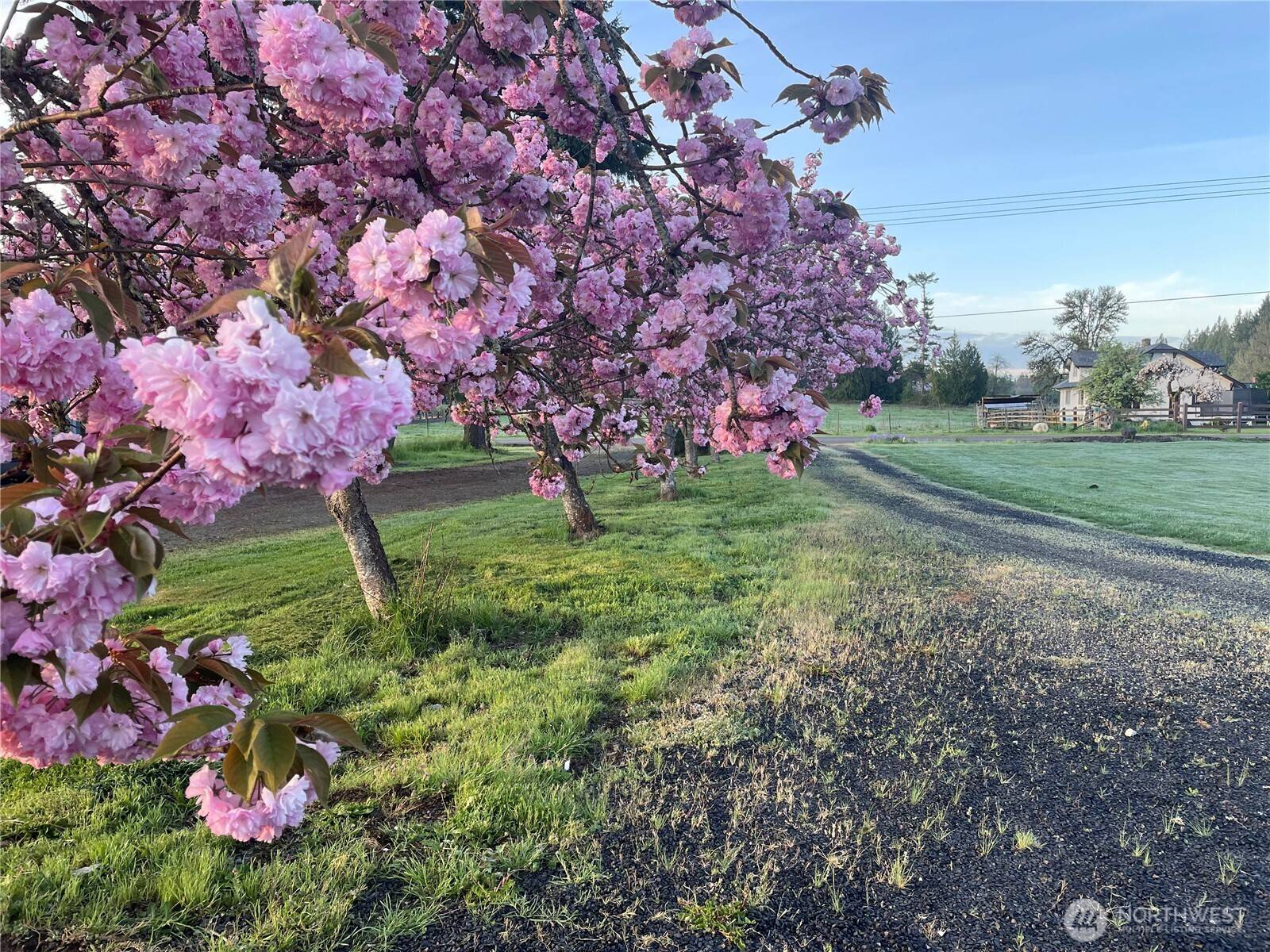 862 King RD, Winlock, WA 98596