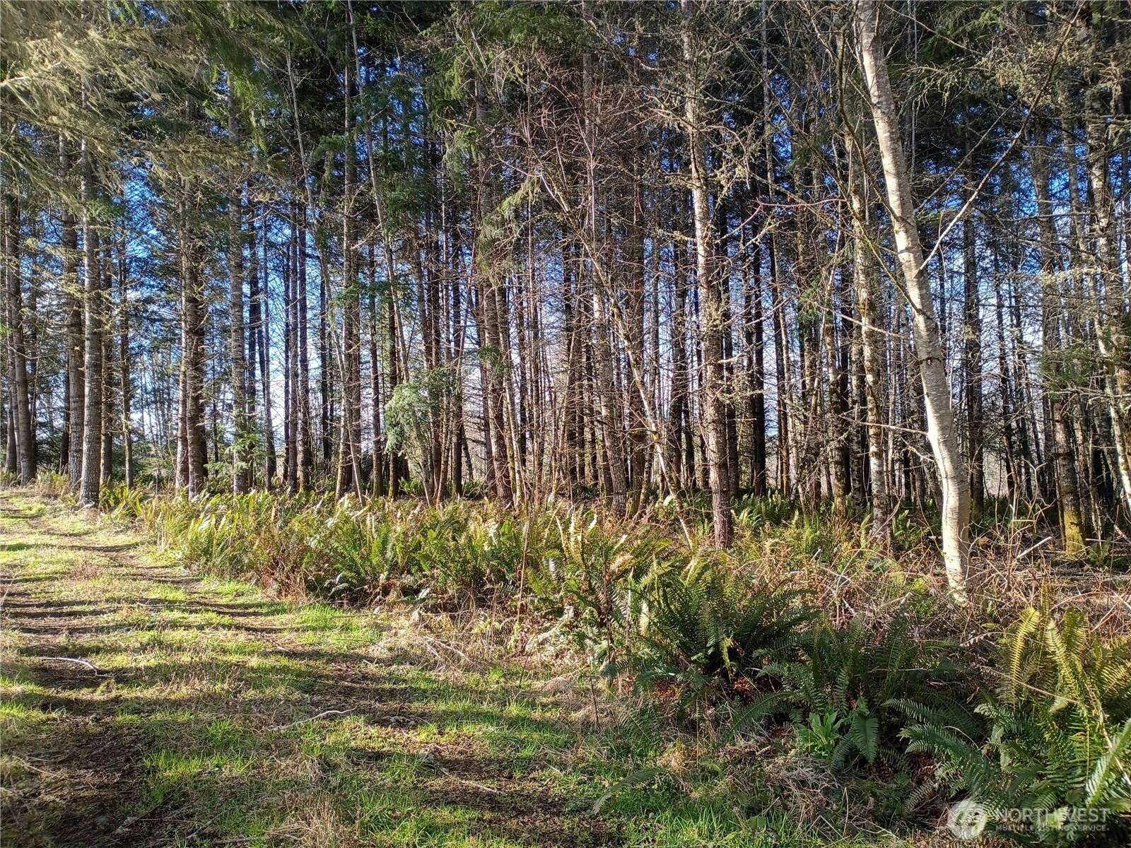 0 0 Salmon Creek RD #0, Mossyrock, WA 98564
