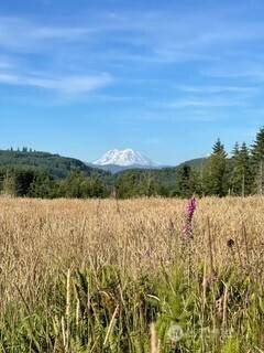 0 0 Salmon Creek RD #0, Mossyrock, WA 98564