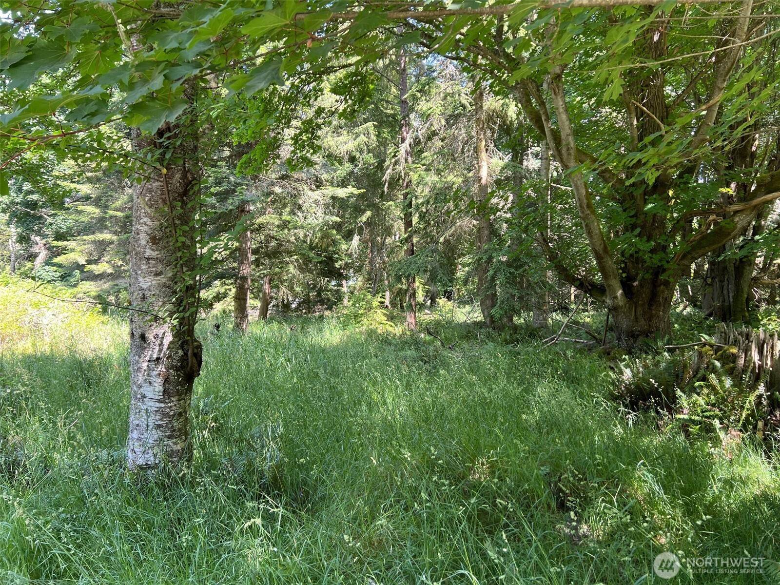 0 Davis Beach RD, Decatur Island, WA 98221