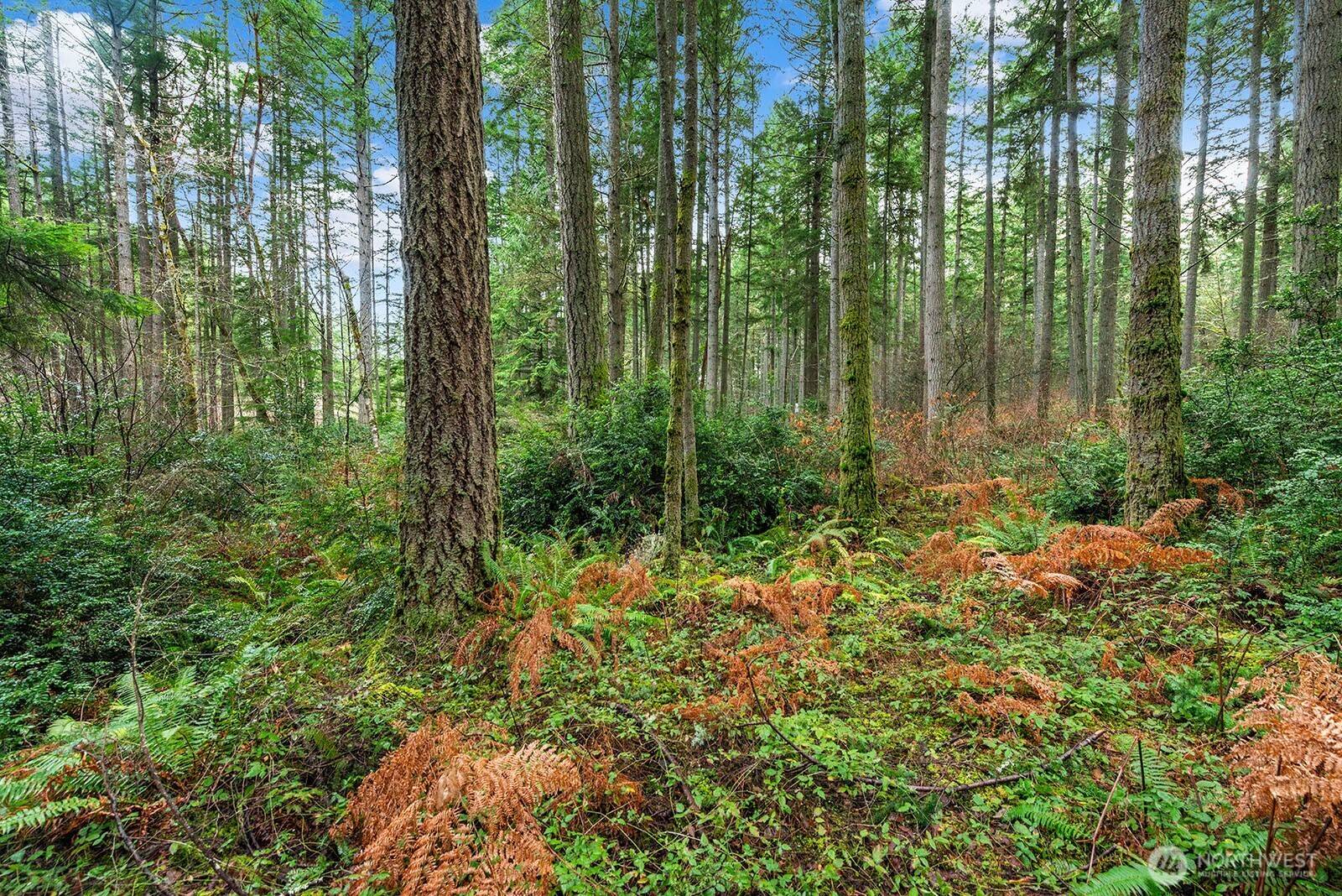 0 SW 220th ST, Vashon, WA 98070