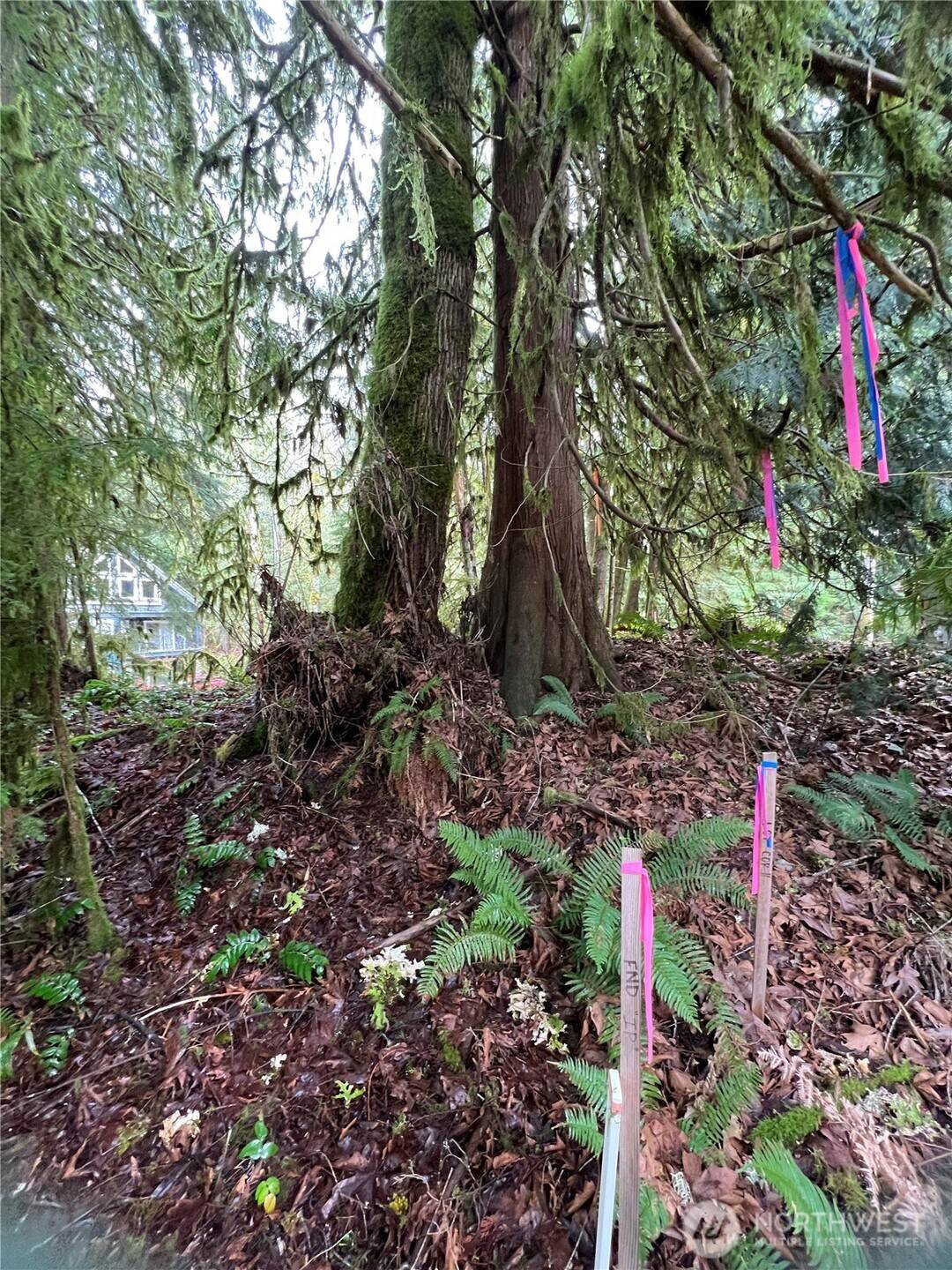 15026 Iceberg RD, Glacier, WA 98244