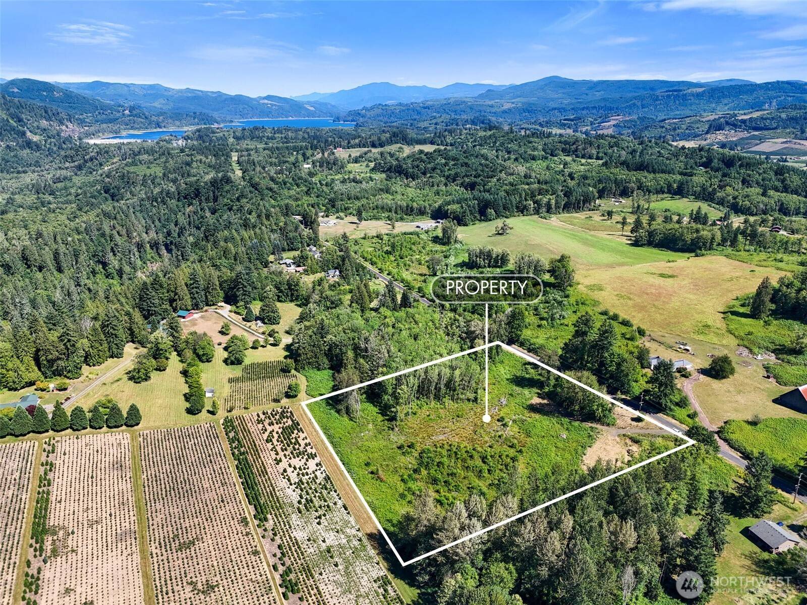 233 Young RD, Mossyrock, WA 98564