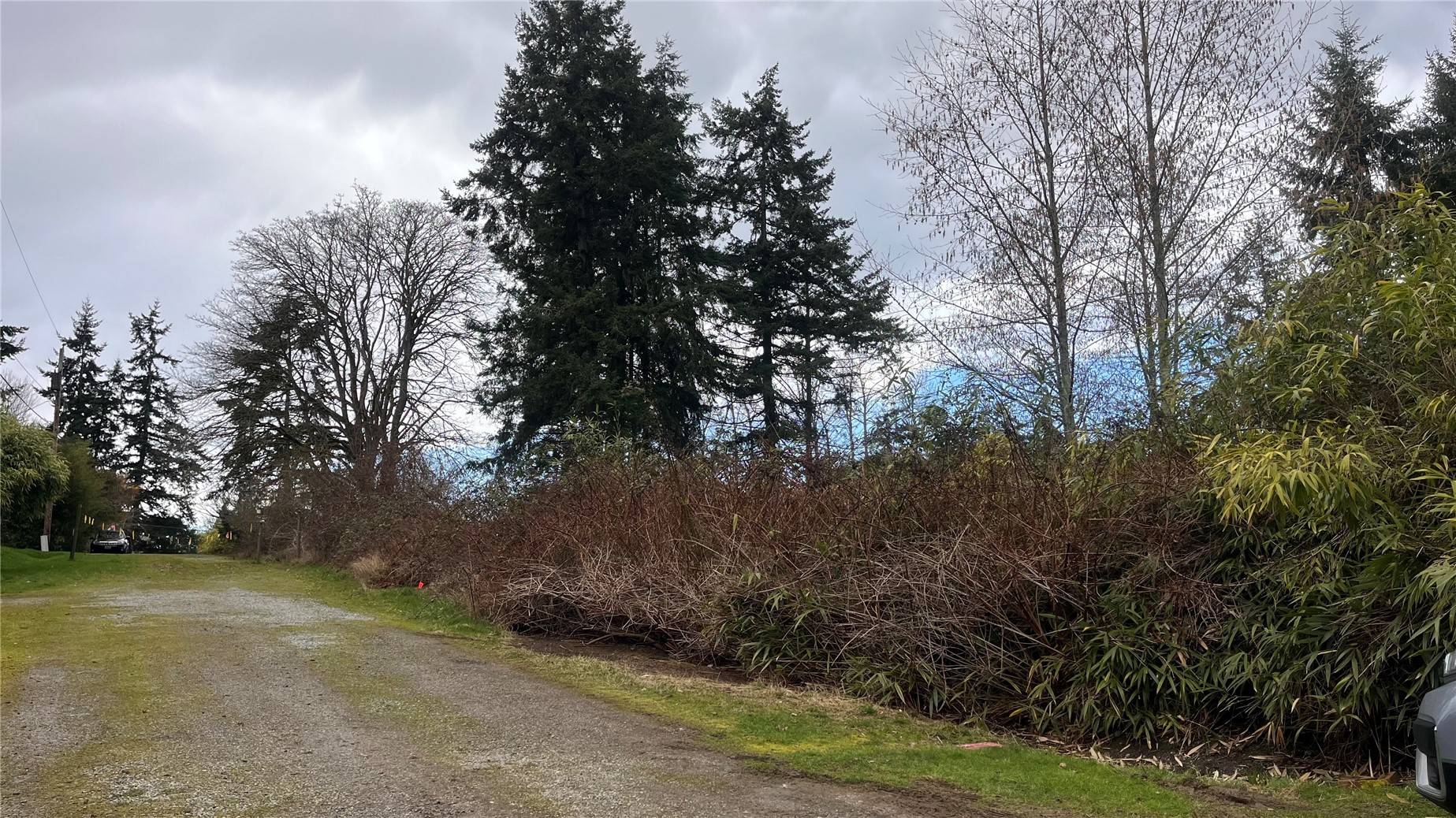 5 Joanne DR, Freeland, WA 99821