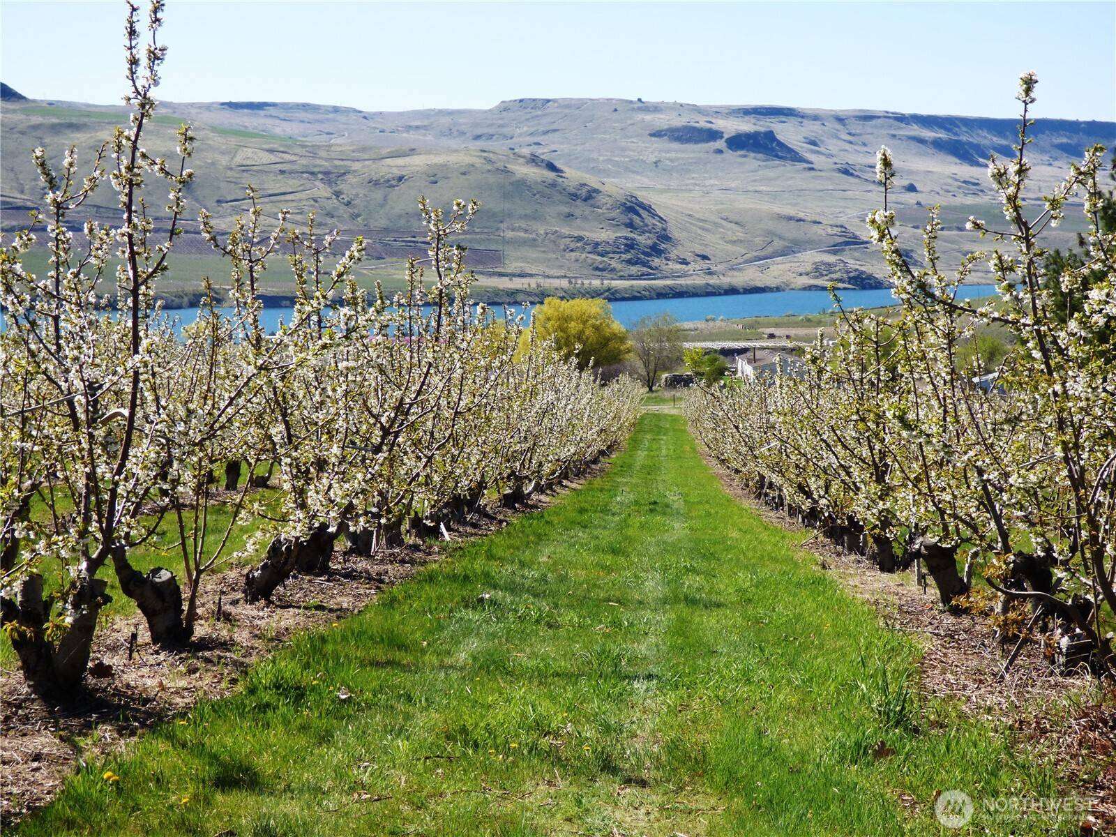 501 Jack Wells RD, Bridgeport, WA 98813