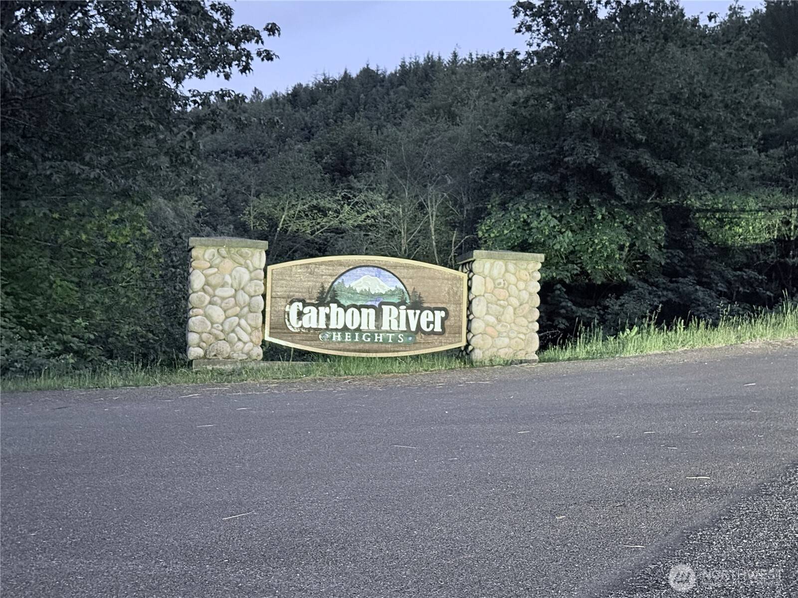 0 Lot 3 250th AVE E, Orting, WA 98360