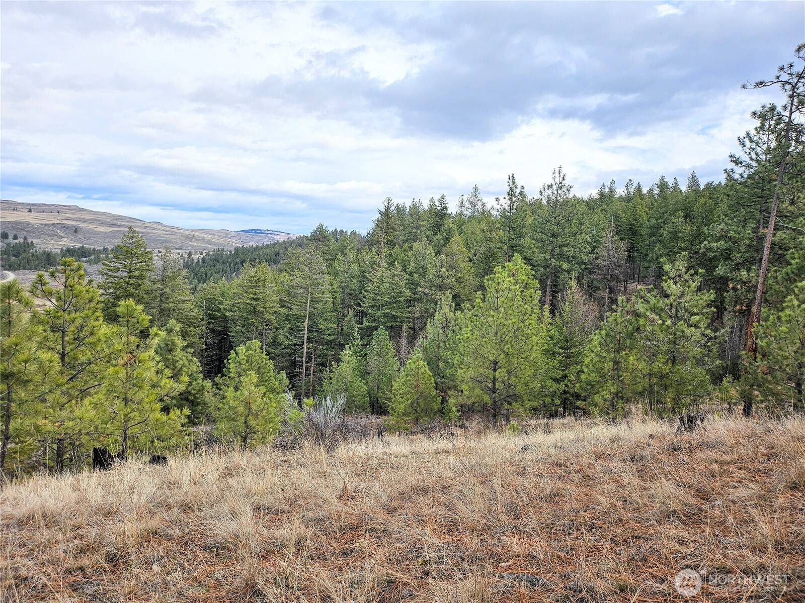 315 W Corral DR, Oroville, WA 98844