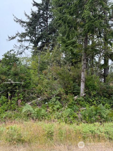 577 Sunset AVE NE, Ocean Shores, WA 98569