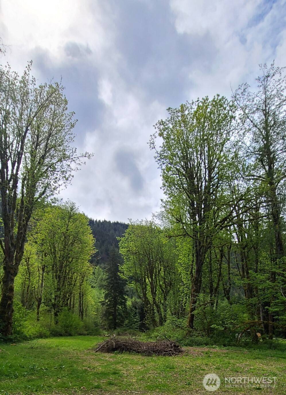32966 S Shore DR, Mount Vernon, WA 98274