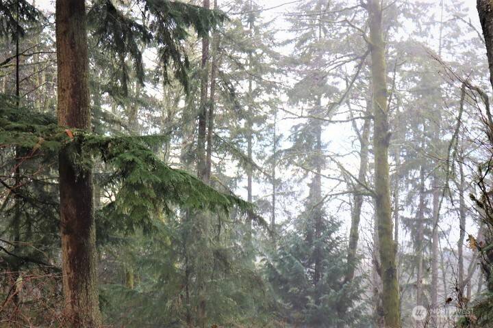 17701 SE 60TH ST, Bellevue, WA 98006