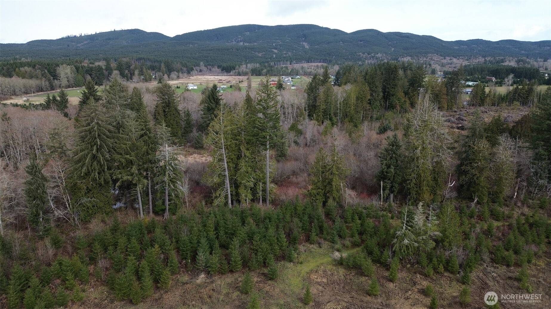 110 Lot 5 Larson RD, Mccleary, WA 98557