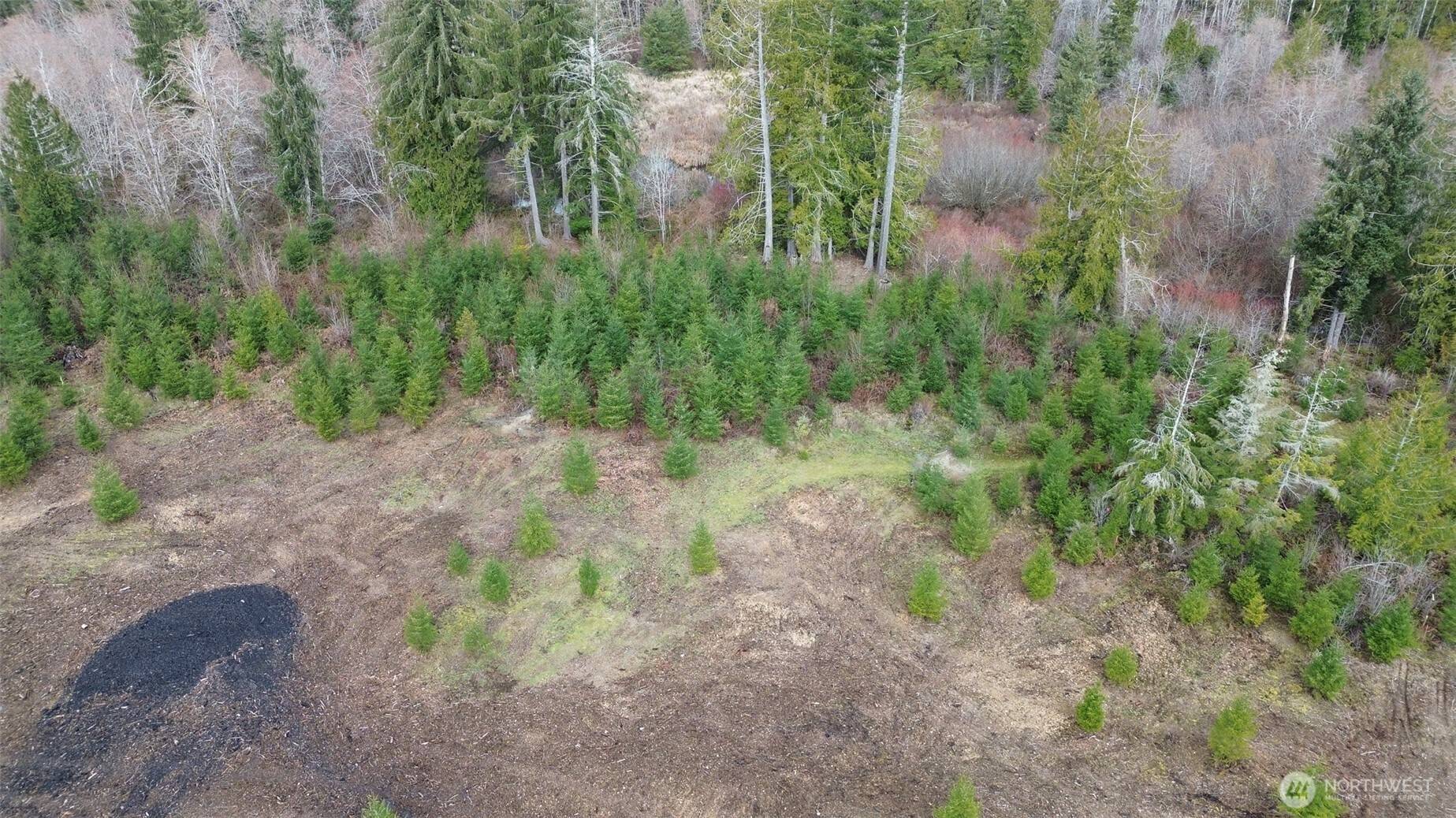 110 Lot 5 Larson RD, Mccleary, WA 98557