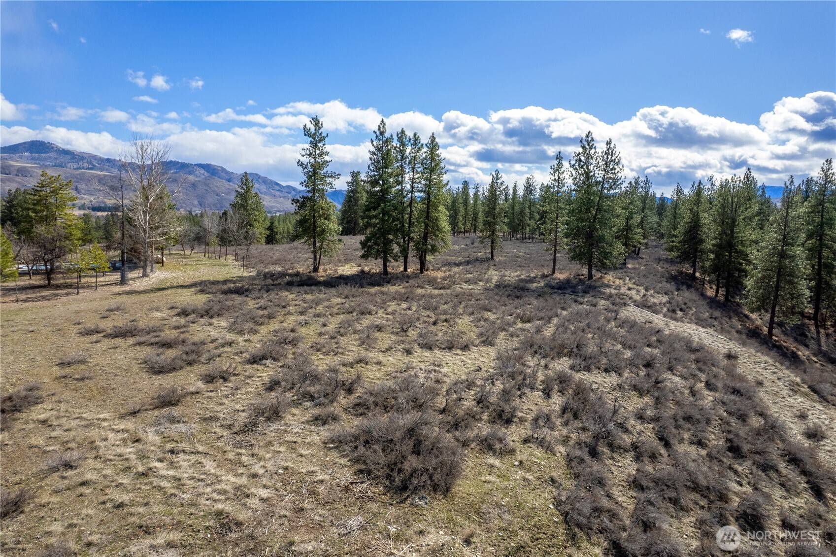 40 TBD Rabbit House RD, Winthrop, WA 98862