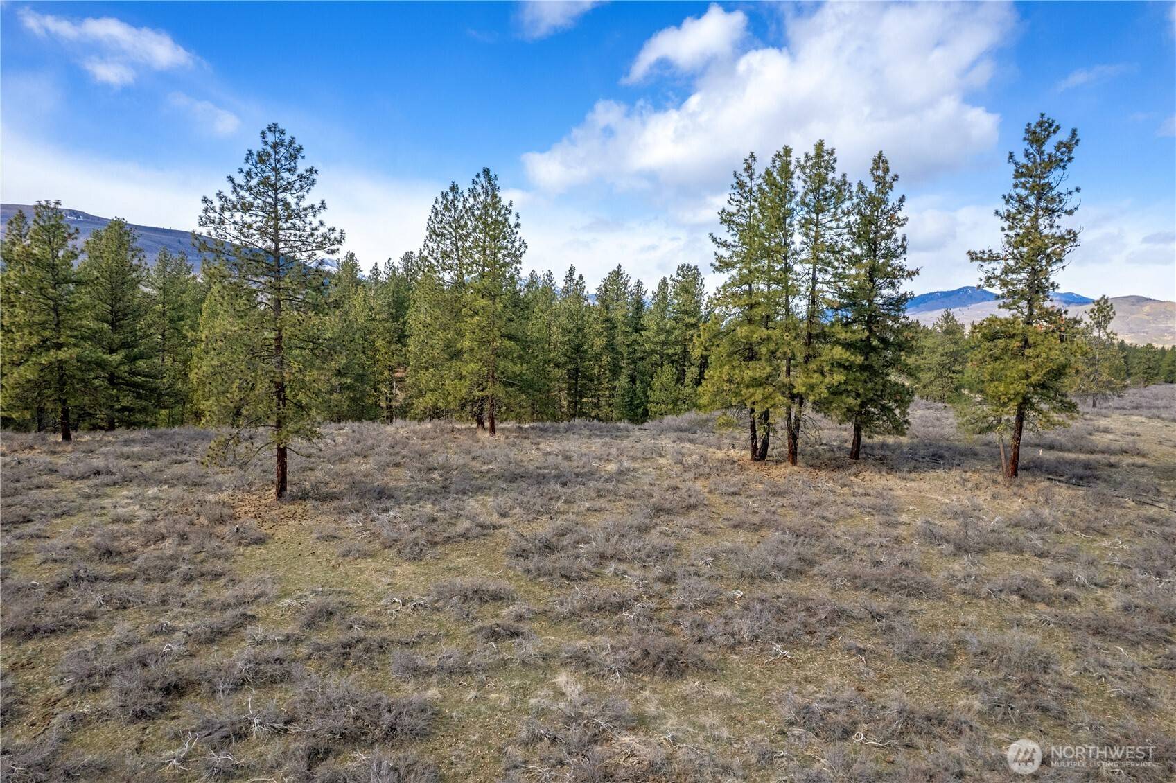 40 TBD Rabbit House RD, Winthrop, WA 98862