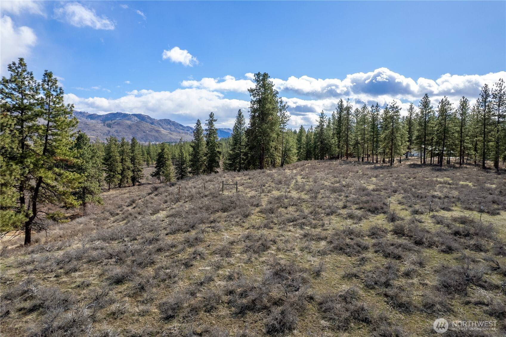 40 TBD Rabbit House RD, Winthrop, WA 98862