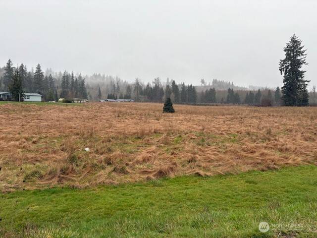 102 Maulwee DR, Silver Creek, WA 98585