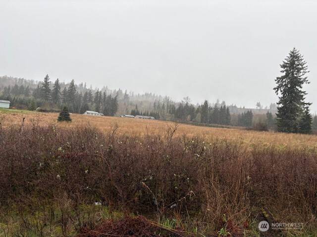 102 Maulwee DR, Silver Creek, WA 98585